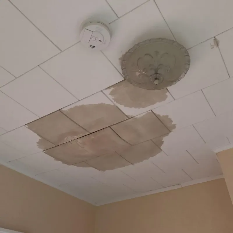 Ceiling Water Damage Repair in Halifax, VA