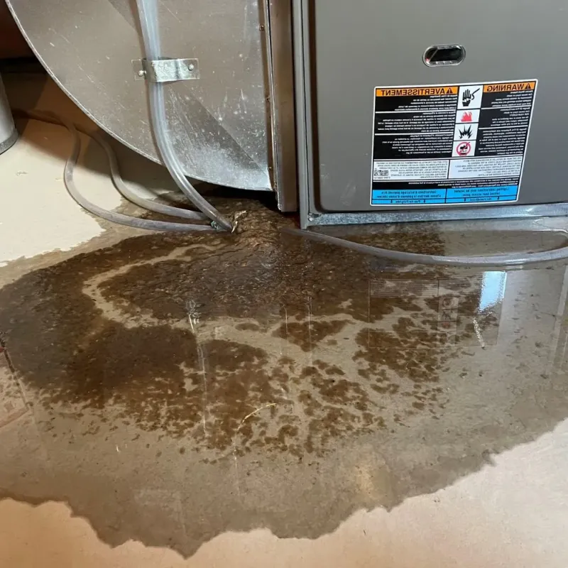 Pipe Burst and Leak Restoration in Halifax, VA