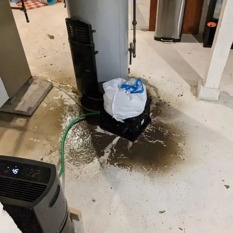 Sewage Backup Cleanup Service in Halifax, VA